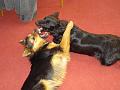 Kia's Pictures 136